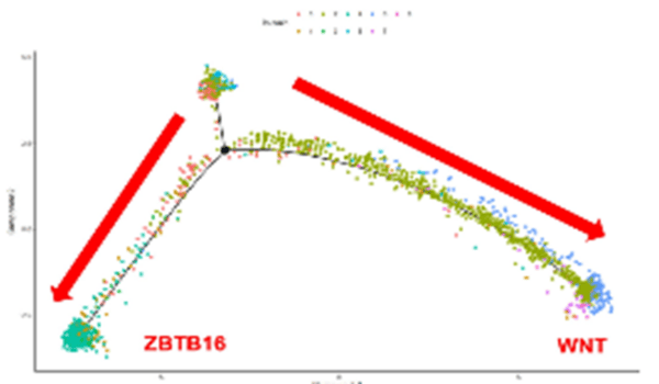 AOC_Research-BOOST-mechanism-of-action1.png